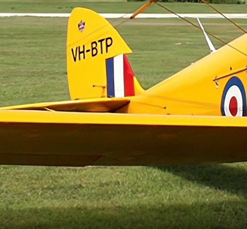 de Havilland DH-82 Tiger Moth biplane on grass airfield